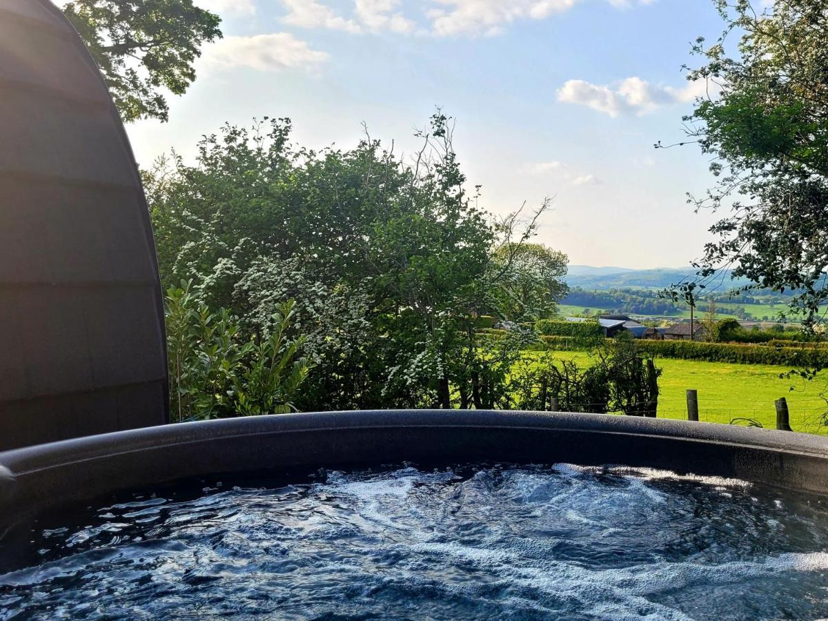 Appartement Odli Glamping - Deri à Welshpool Extérieur photo