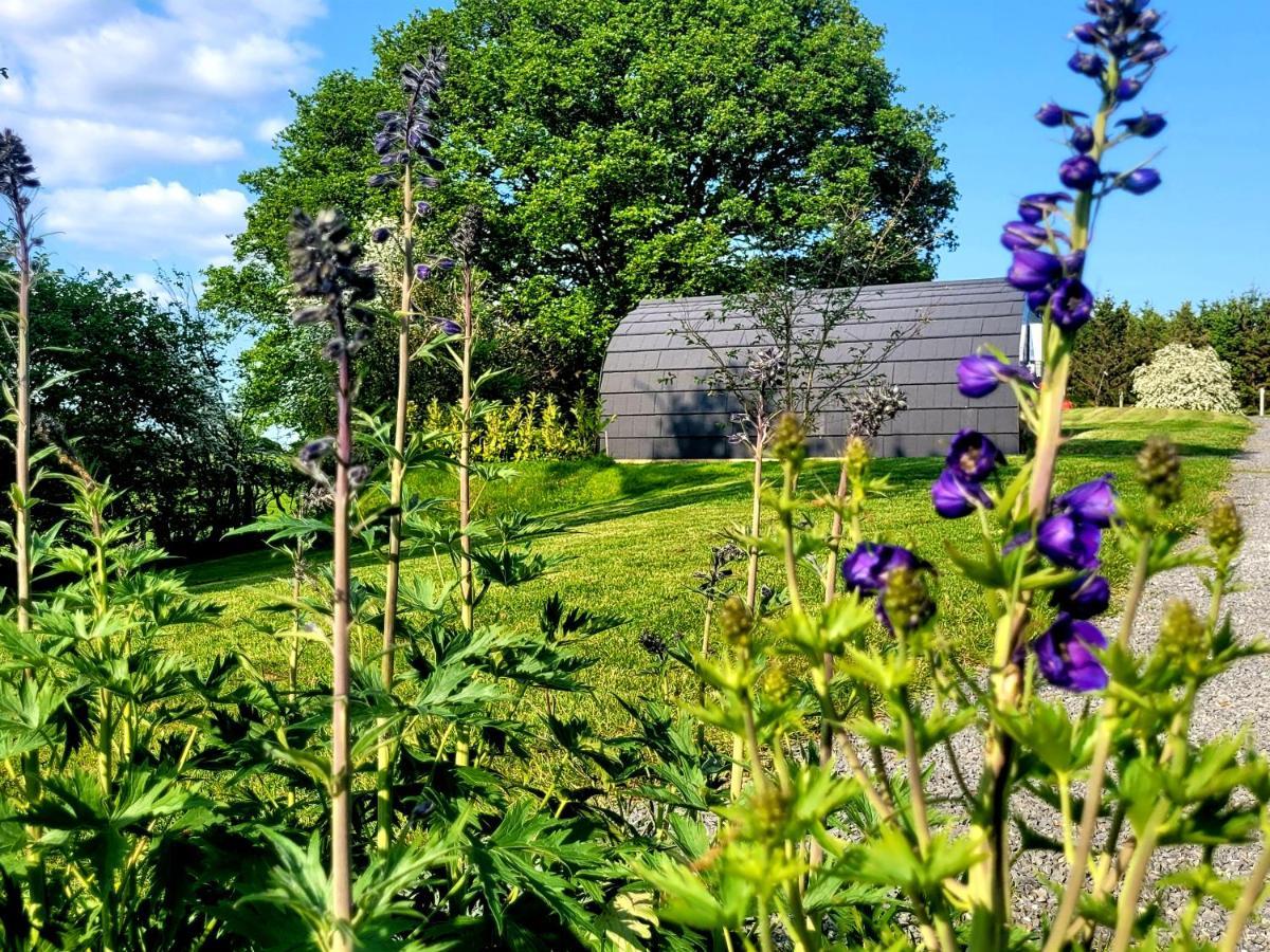 Appartement Odli Glamping - Deri à Welshpool Extérieur photo